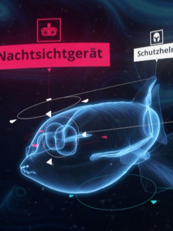 VR-Film "Superhelden der Tiefsee" für Geomar